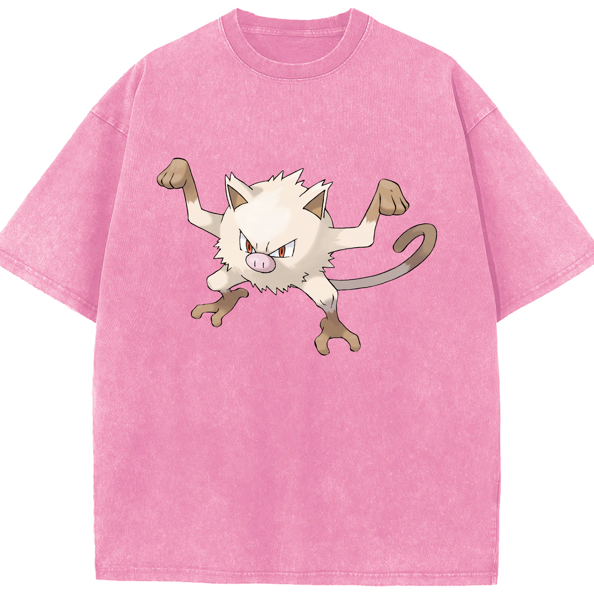 （画像用） ポケットモンスター Pokémon 綿100% ヴィンテージ風 半袖Tシャツ（フロントプリント）